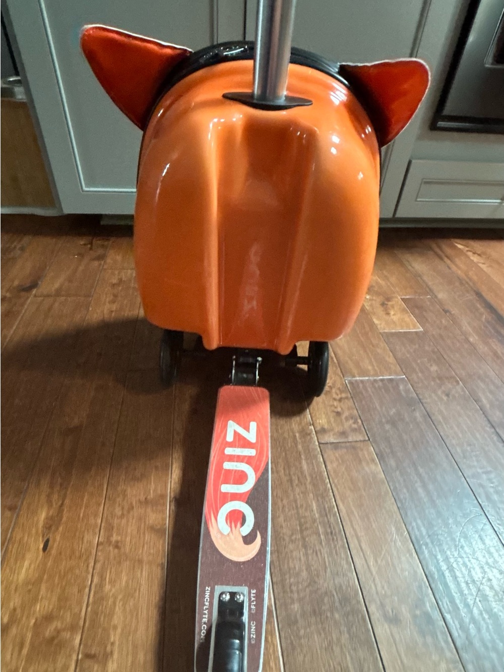 2-in-1 Zinc Flyte Midi 18 Inch Frazer The Fox Scooter/Suitcase - Picture 5 of 6